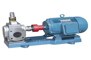 062409C-PUMP