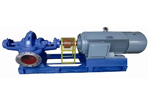 061927C-CNP