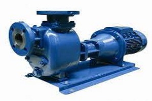 060651Z-CENTRIFUGAL PUMP